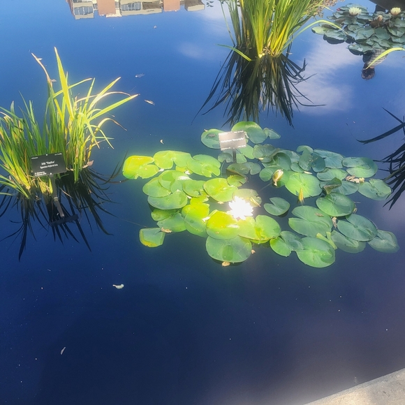 Meet your Posher, Susan - Picture 2 of 3